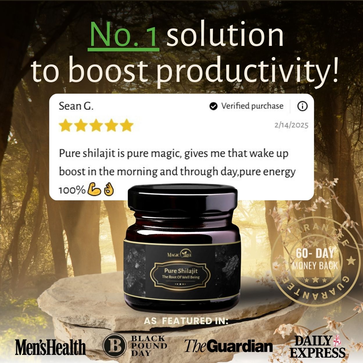 Himalayan Organic Shilajit