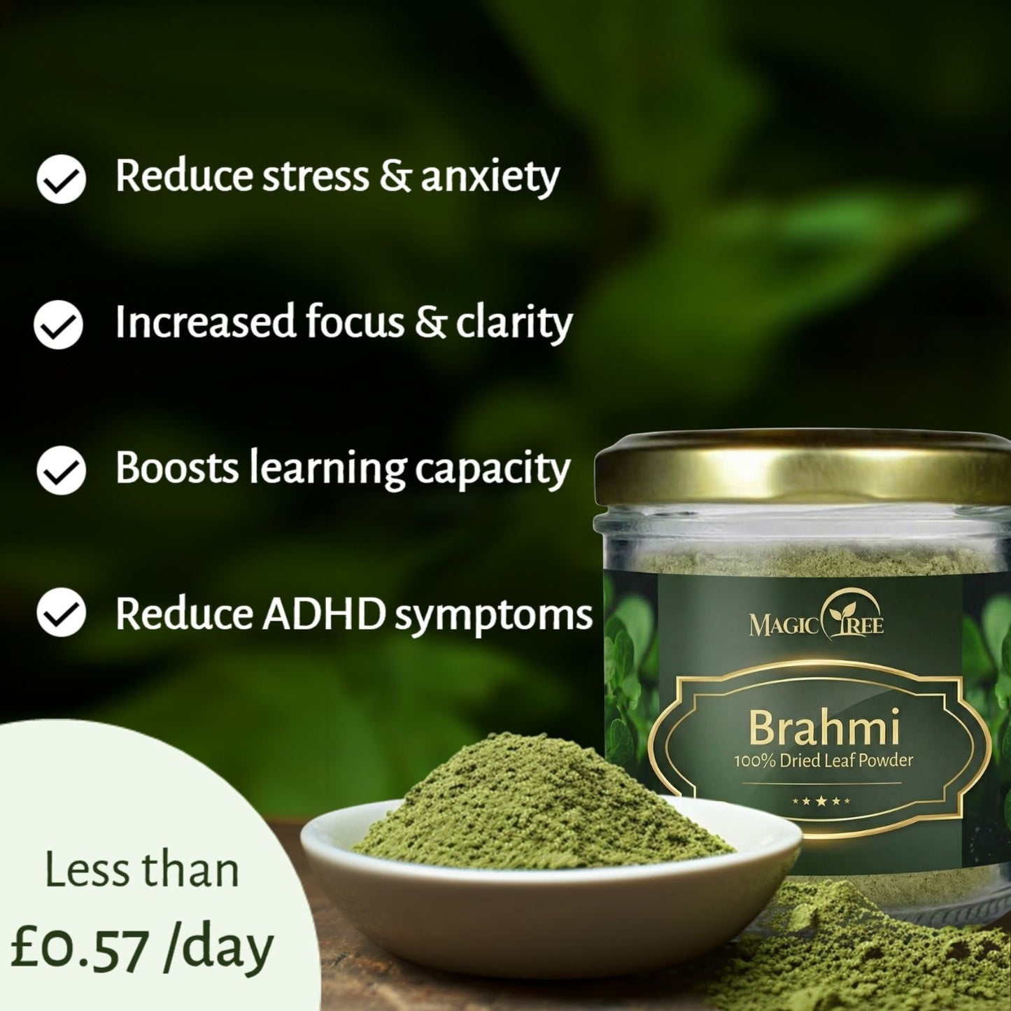 Brain Sage