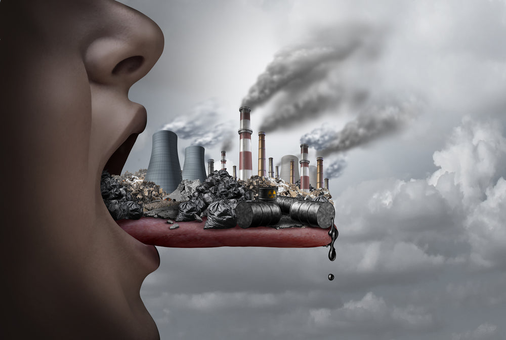 Guide to Environmental Toxins
