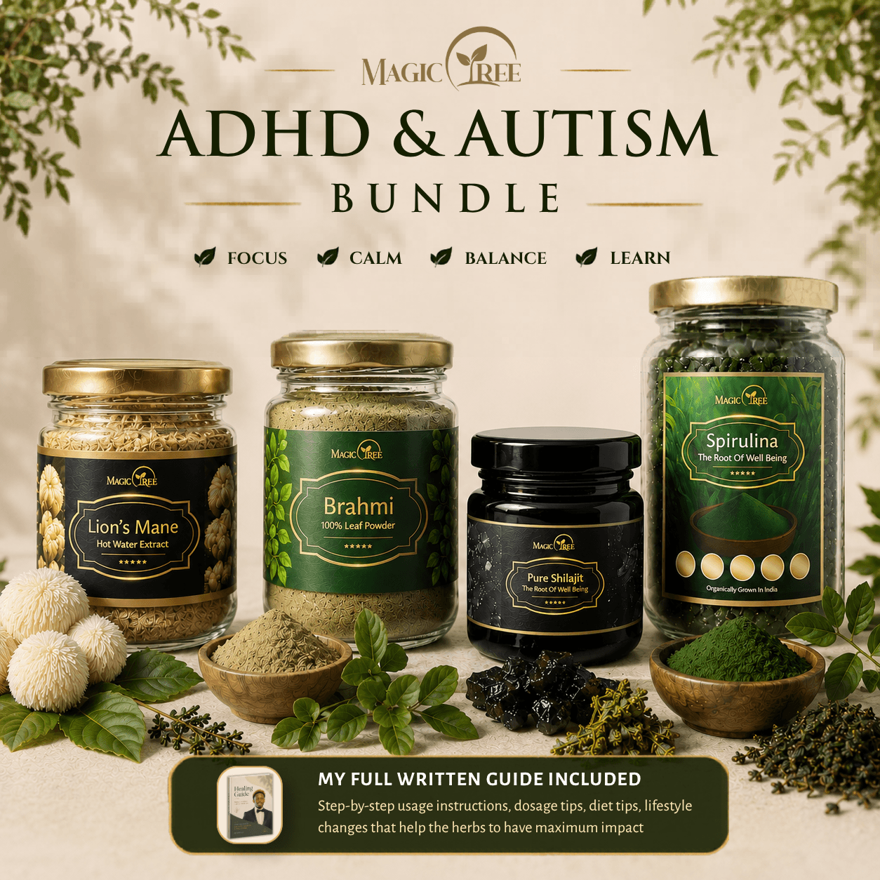 ADHD/Autism Kit