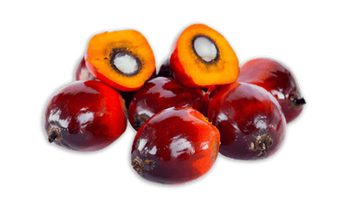 MagicTree Superfoods