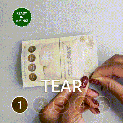 Lion's Mane Mushroom