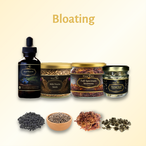 Magictree Gut Health Kit