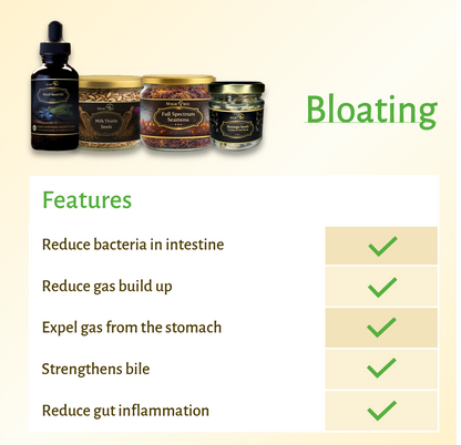 Magictree Gut Health Kit