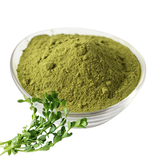 Nootropic Brain Boost