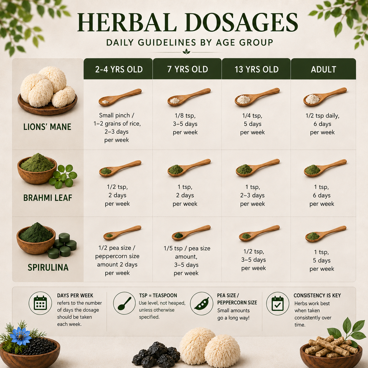 Magictree Autism Herbal Cleanse Program
