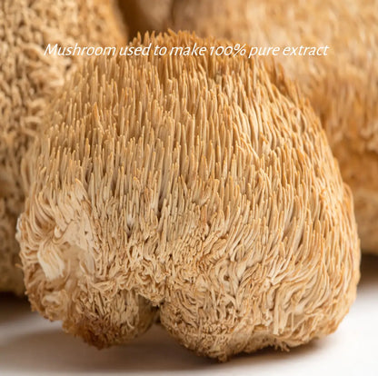 Lion's Mane Mushroom