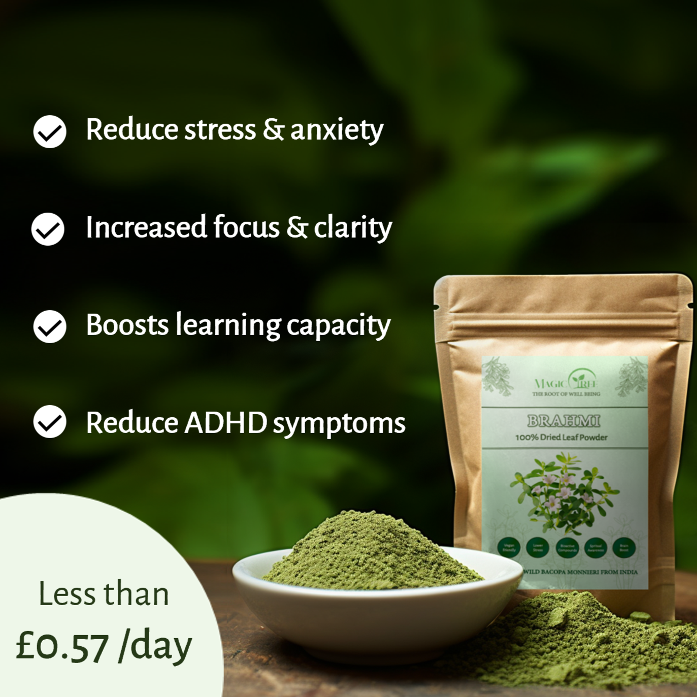 Nootropic Brain Boost