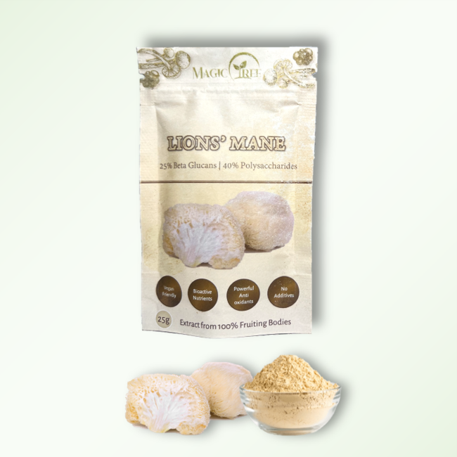 Lion's Mane Mushroom