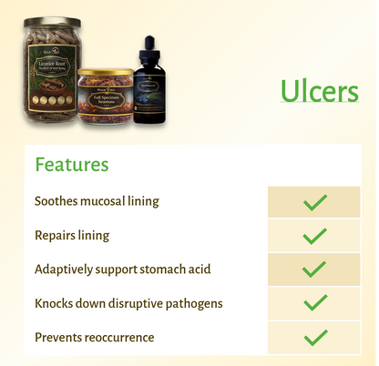 Magictree Gut Health Kit