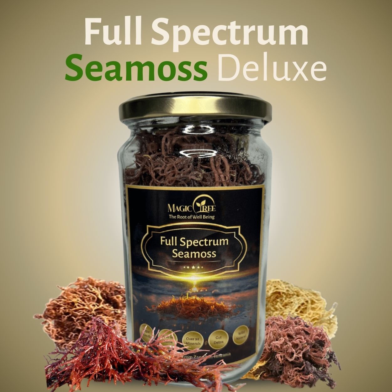 Full Spectrum Seamoss Deluxe