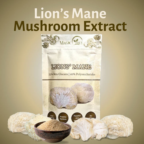 Lion's Mane Mushroom