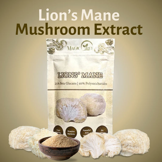 Lion's Mane Mushroom