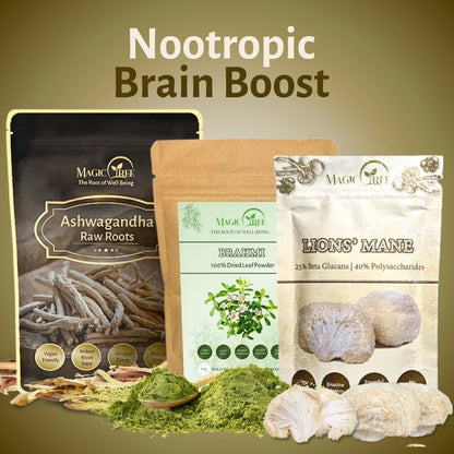 Nootropic Brain Boost