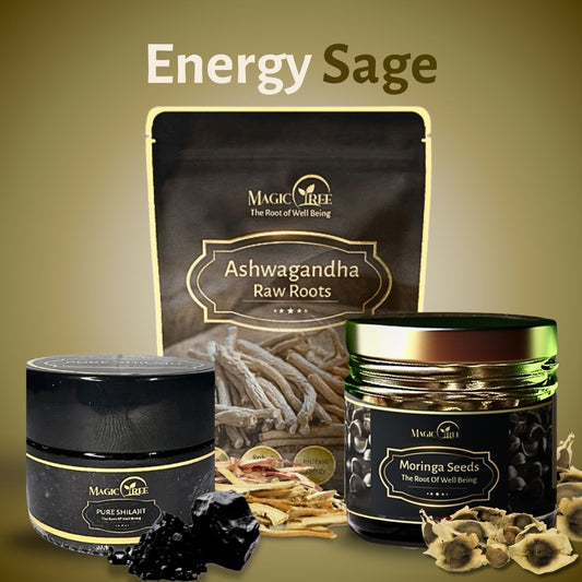 Energy Sage