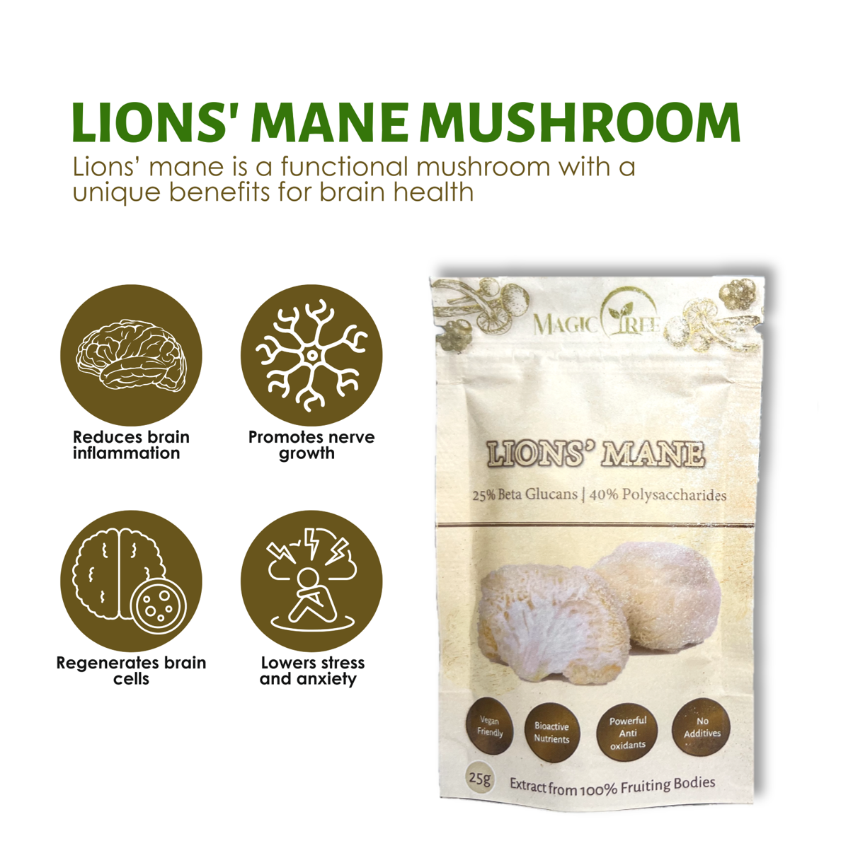 Lion's Mane Mushroom