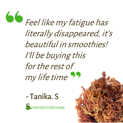 Full Spectrum Seamoss Deluxe