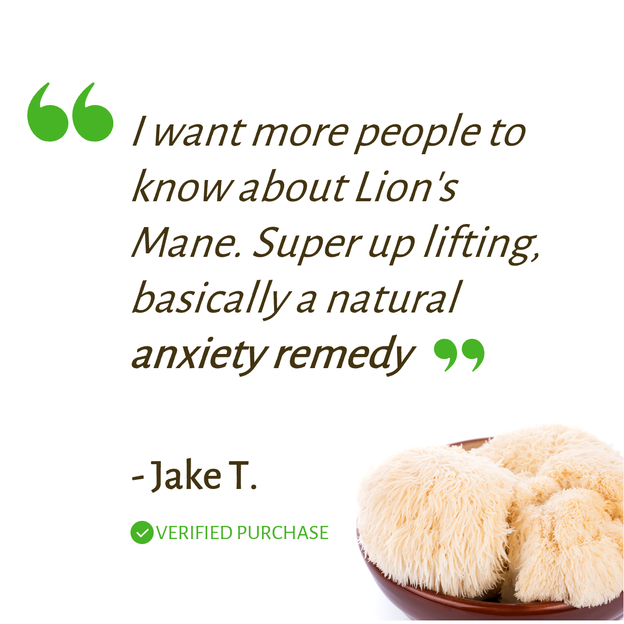 Lion's Mane Mushroom