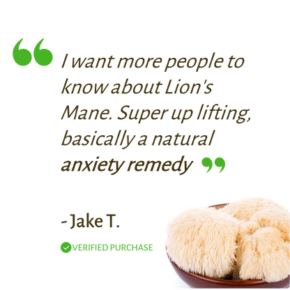 Lion's Mane Mushroom